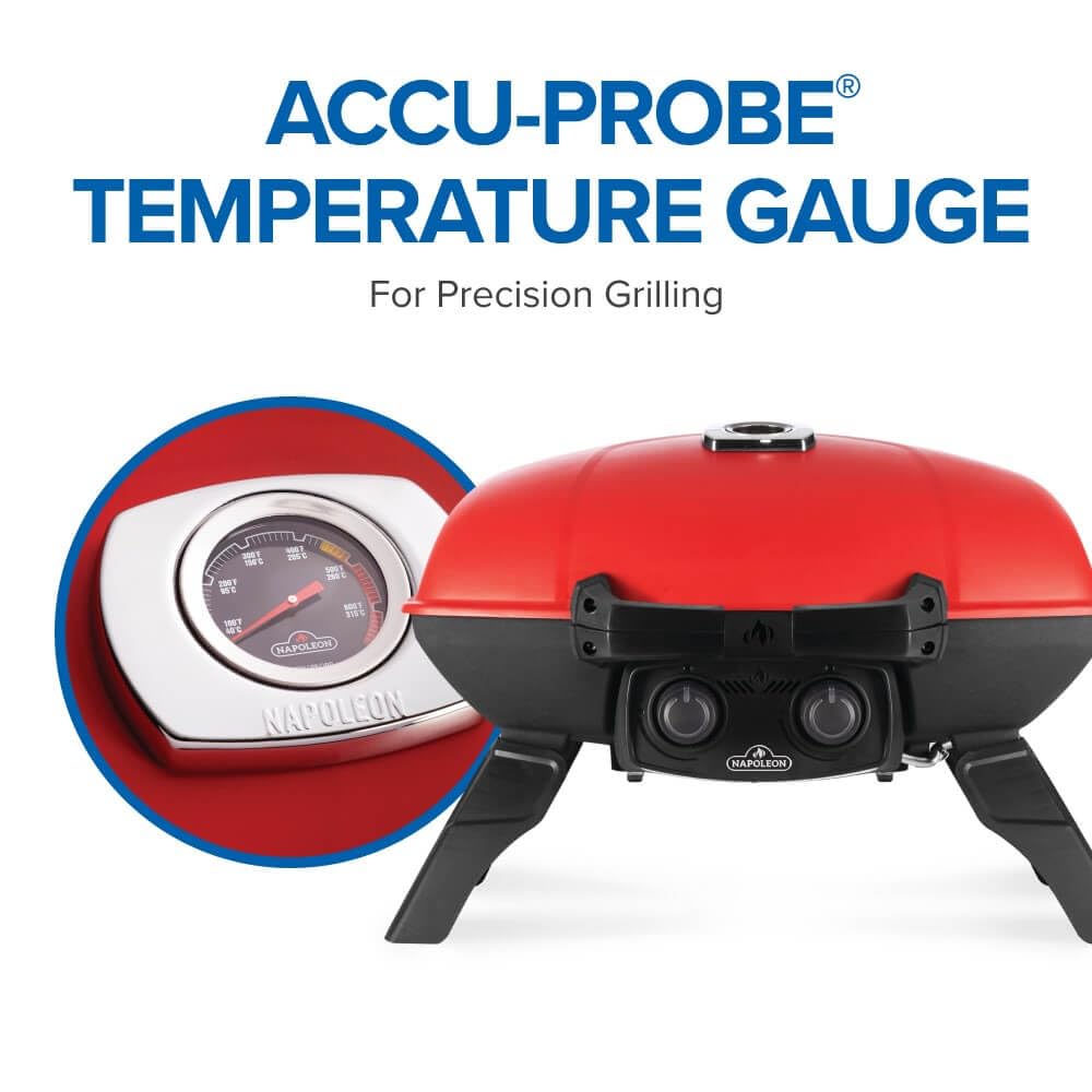 Portable Propane Grill with Griddle Insert S3791