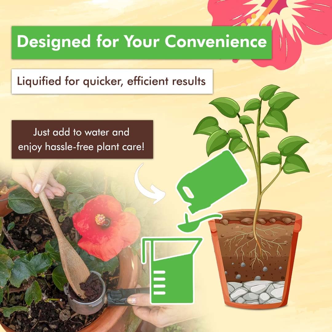 20-20-20 Liquid Plant Food, 32 oz B88207
