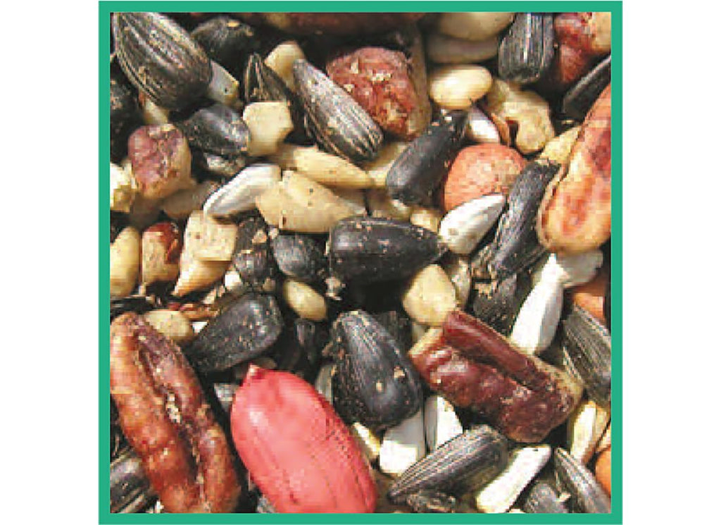 Bird Seed, 20-Pound F651