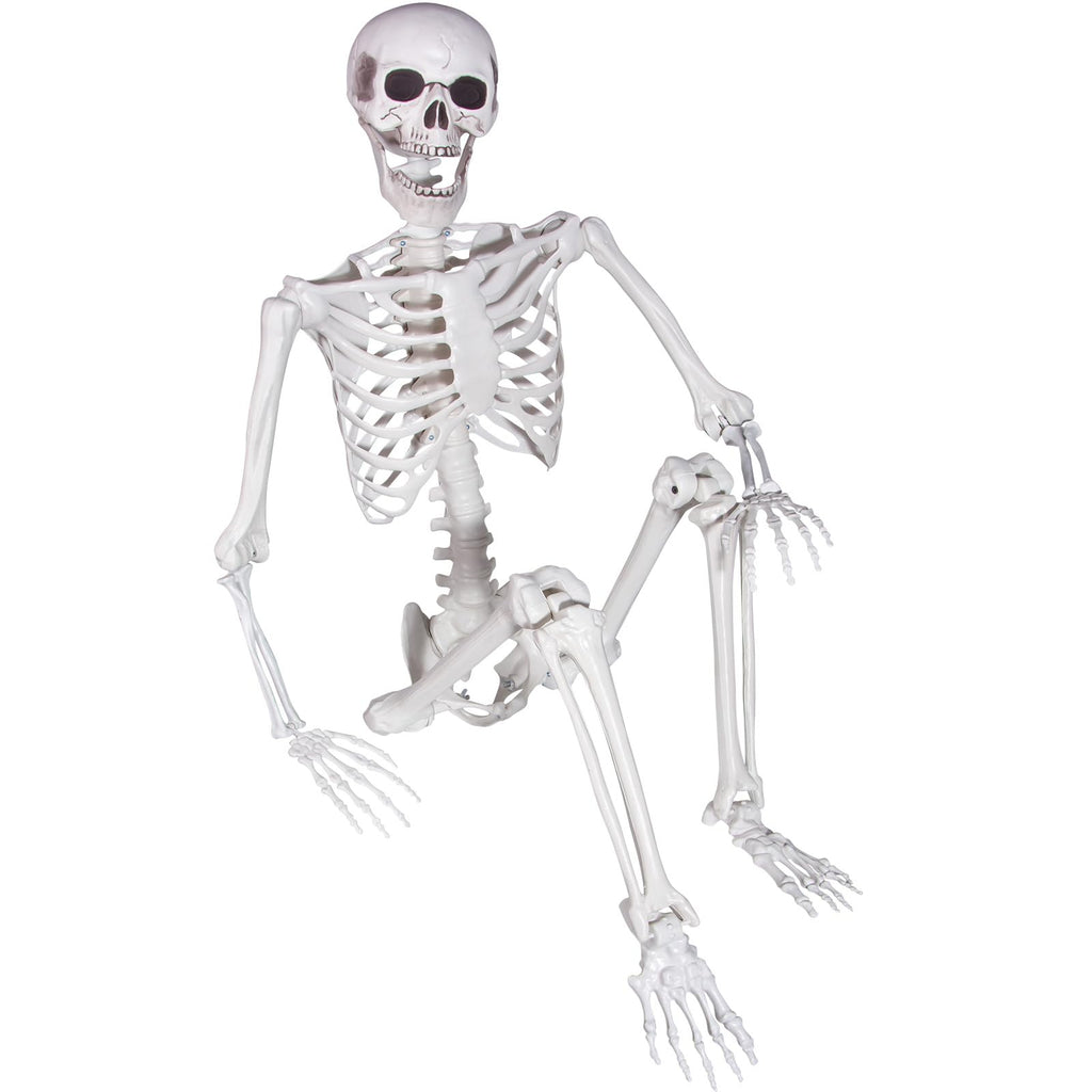 Life Size Skeleton with Posable Joints M62202