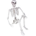 Life Size Skeleton with Posable Joints M62202