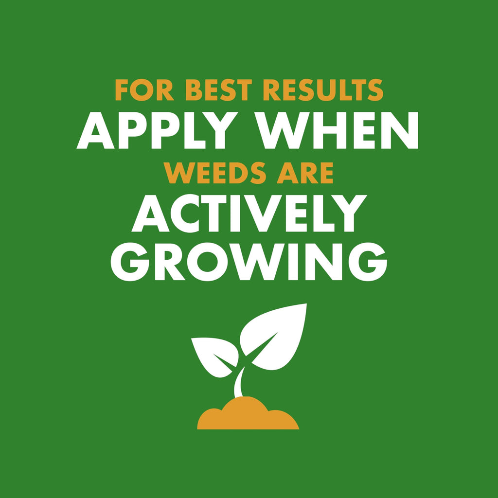 Weed & Feed 32 Oz 3 Pack E36552