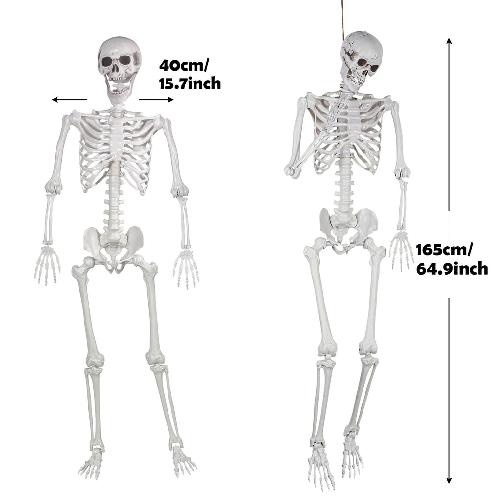 Life Size Skeleton with Posable Joints M62202