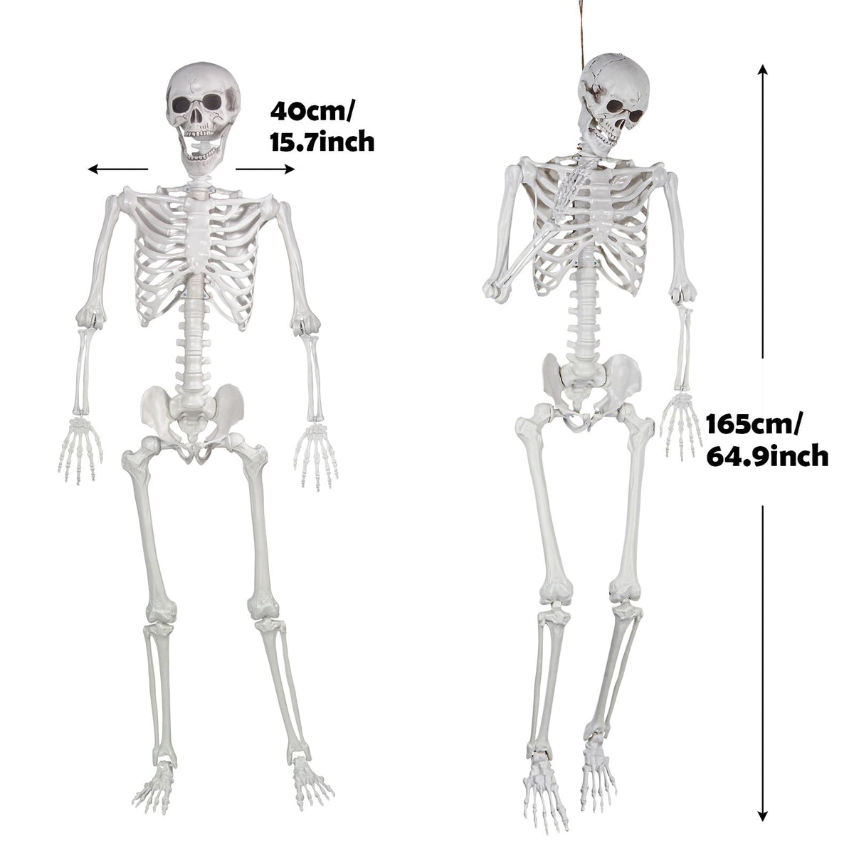 Life Size Skeleton with Posable Joints M62202
