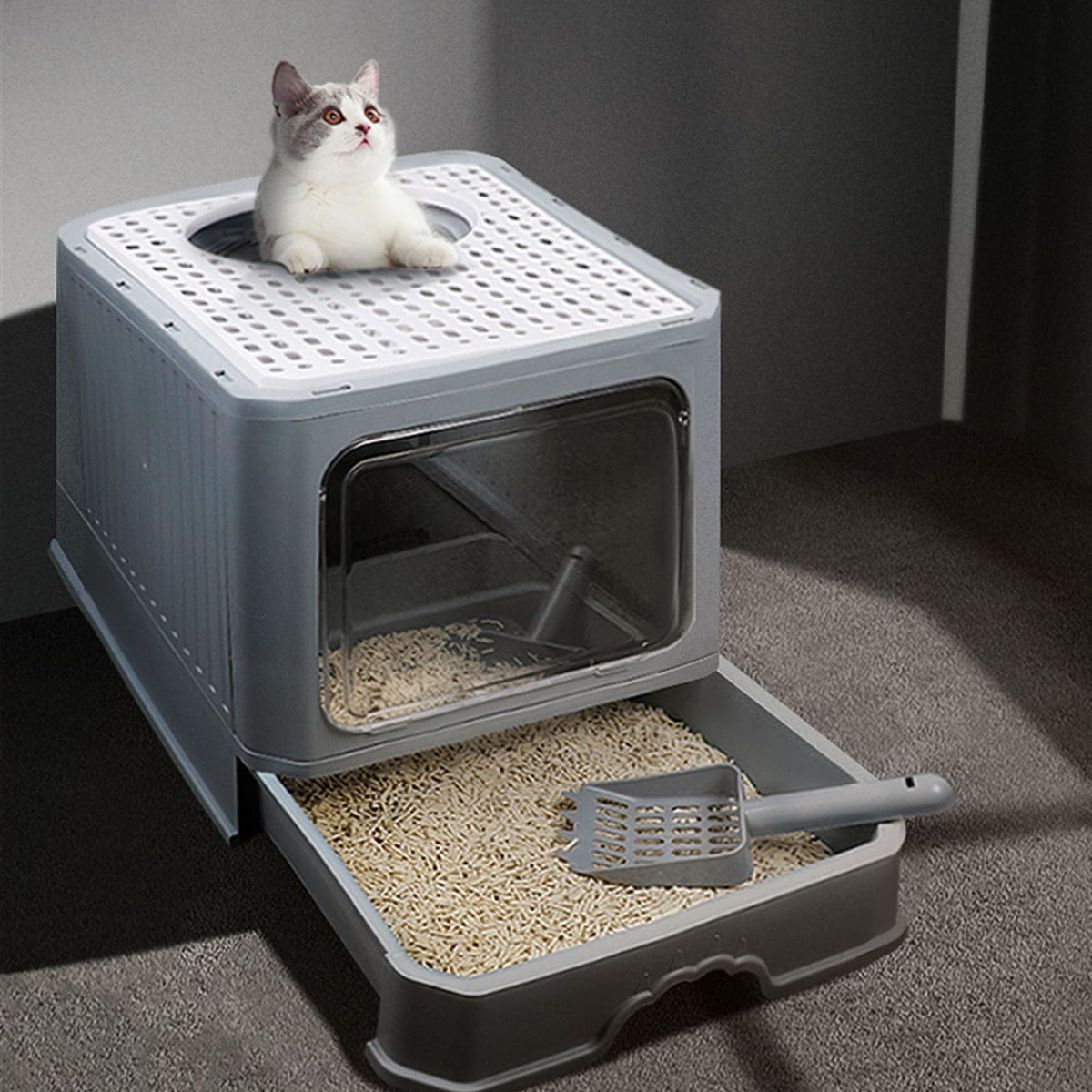 Enclosed Foldable Cat Litter Box with Lid C6122