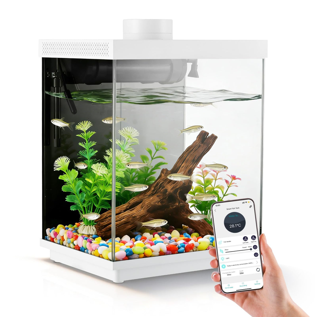 3 Gallon Glass Fish Tank Aquarium Kit with APP Control Q78059