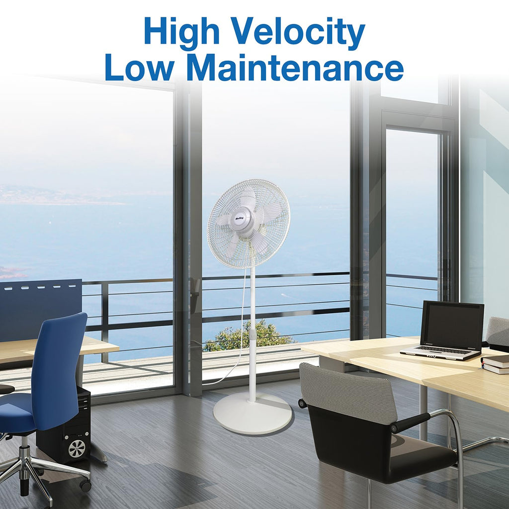18-Inch 3-Speed Oscillating Pedestal Fan P551
