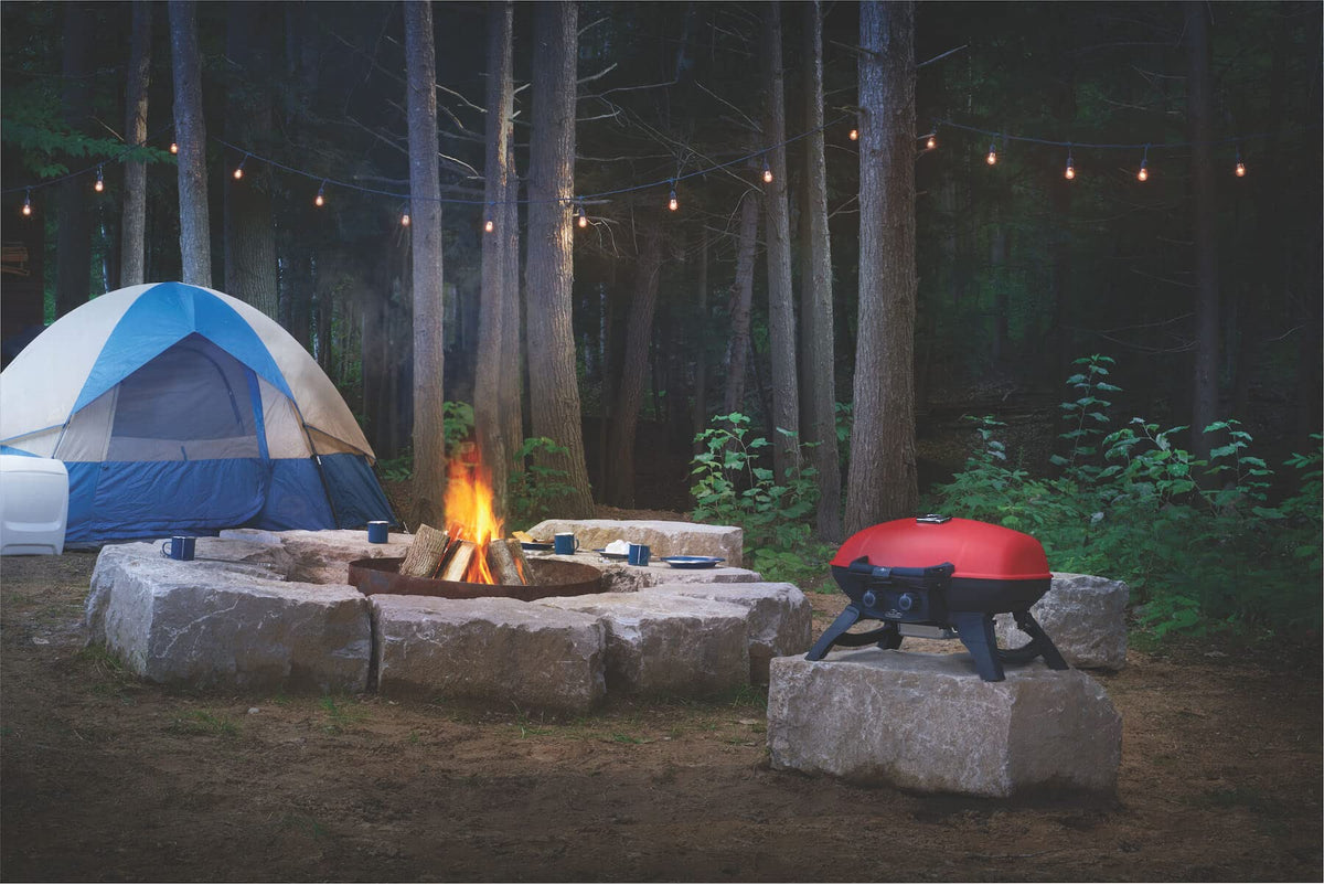 Portable Propane Grill with Griddle Insert S3791