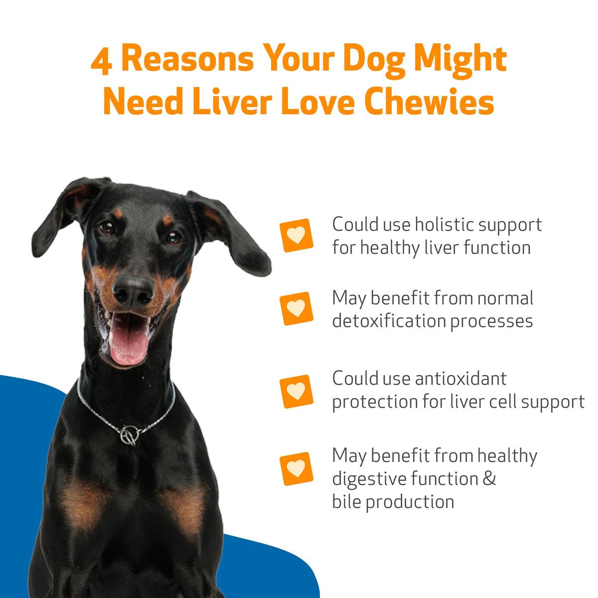 Liver Support Chewies for Dogs, 90 Ct H6798