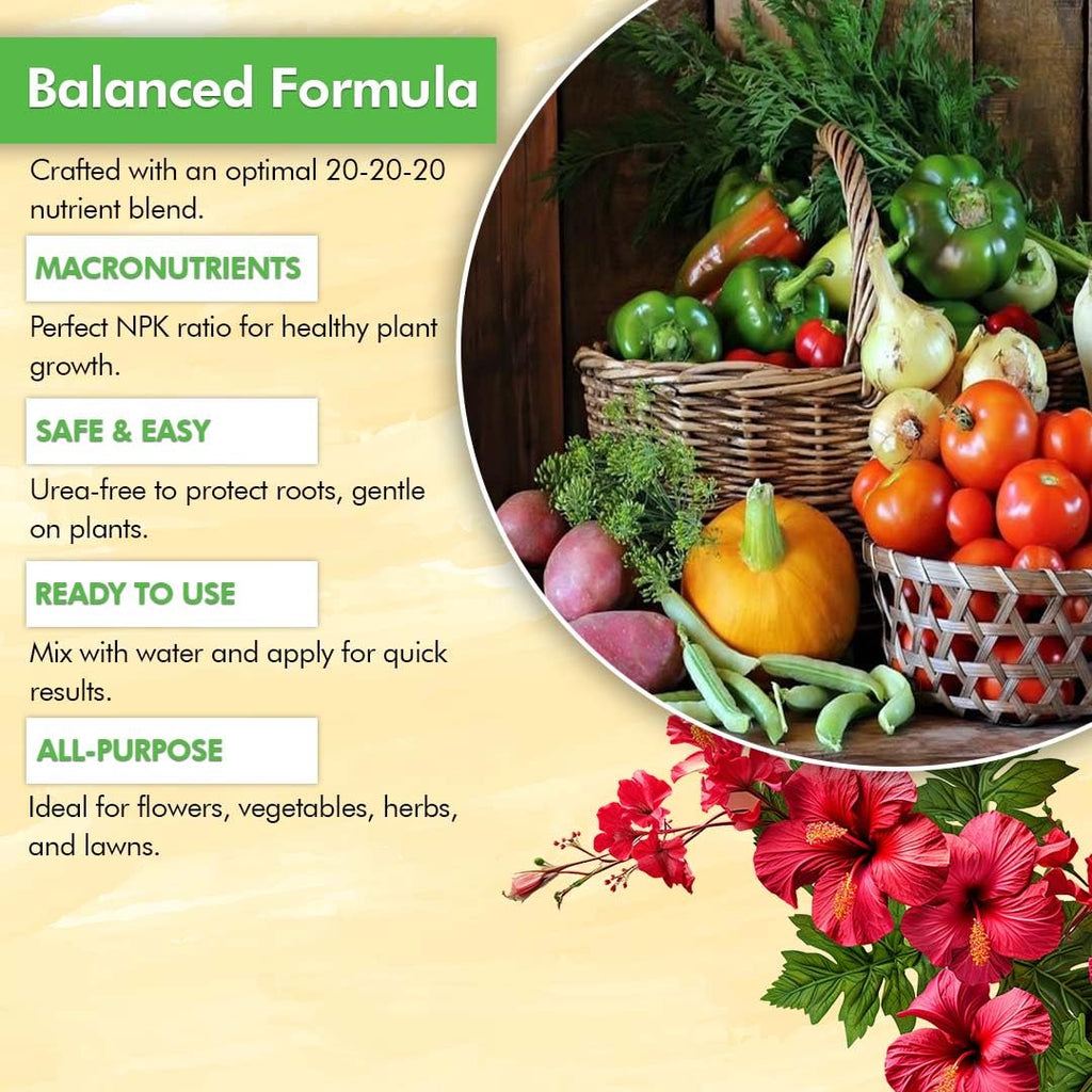 20-20-20 Liquid Plant Food, 32 oz B88207