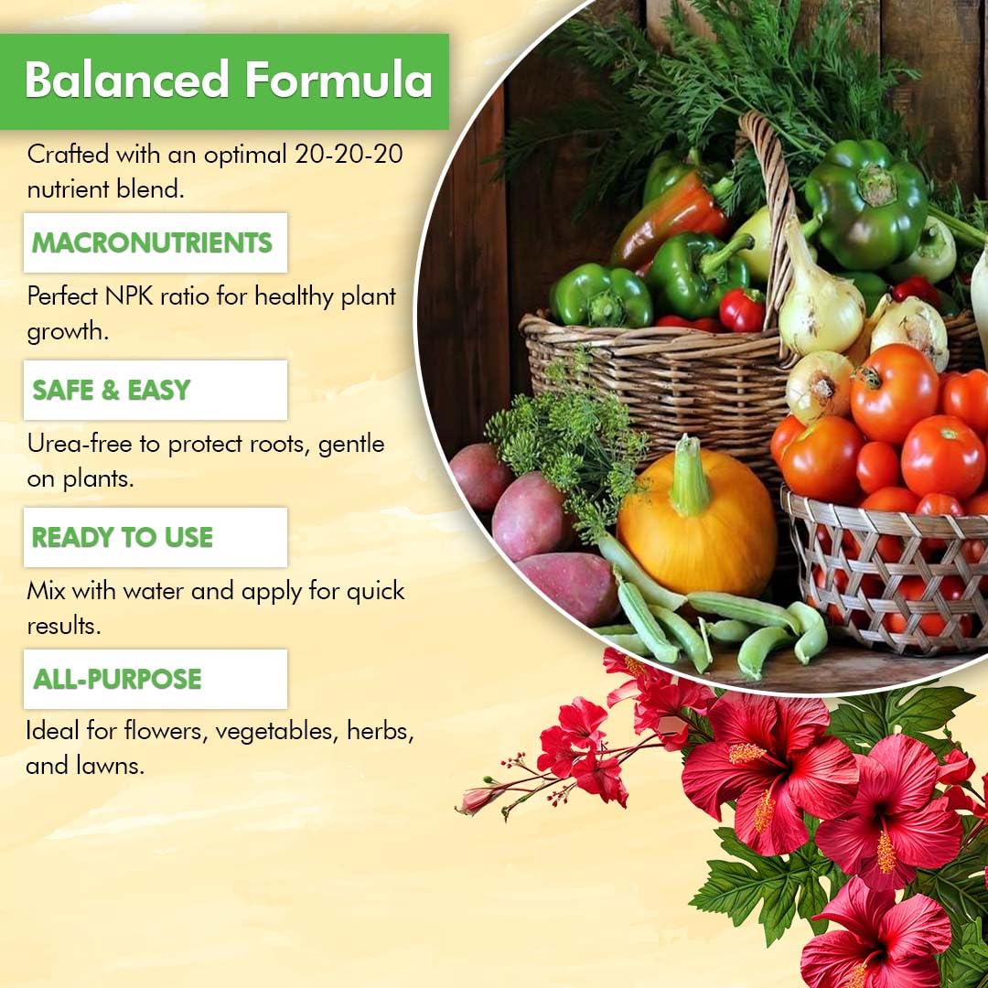 20-20-20 Liquid Plant Food, 32 oz B88207