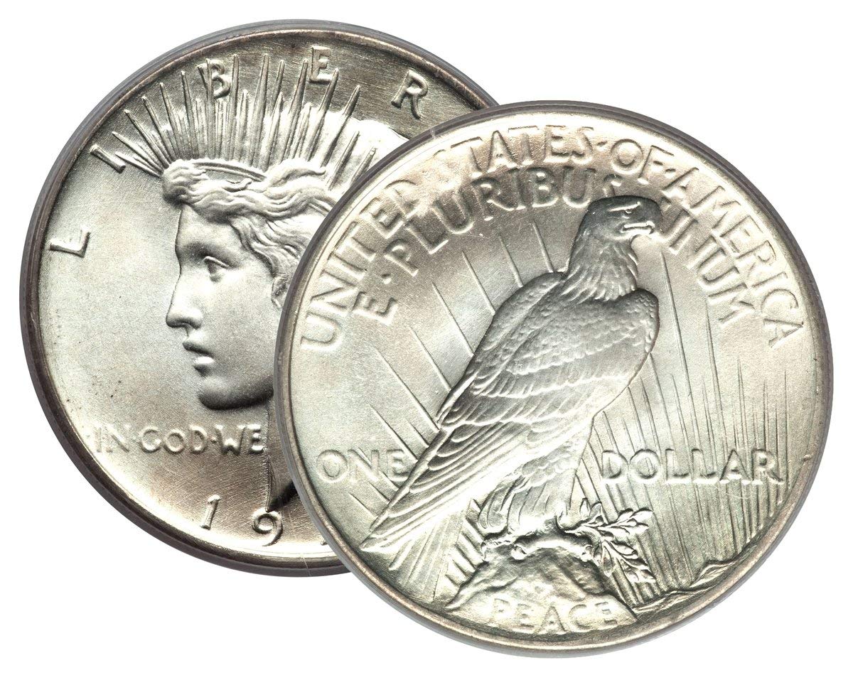 Peace Silver Dollar Extra Fine Q899