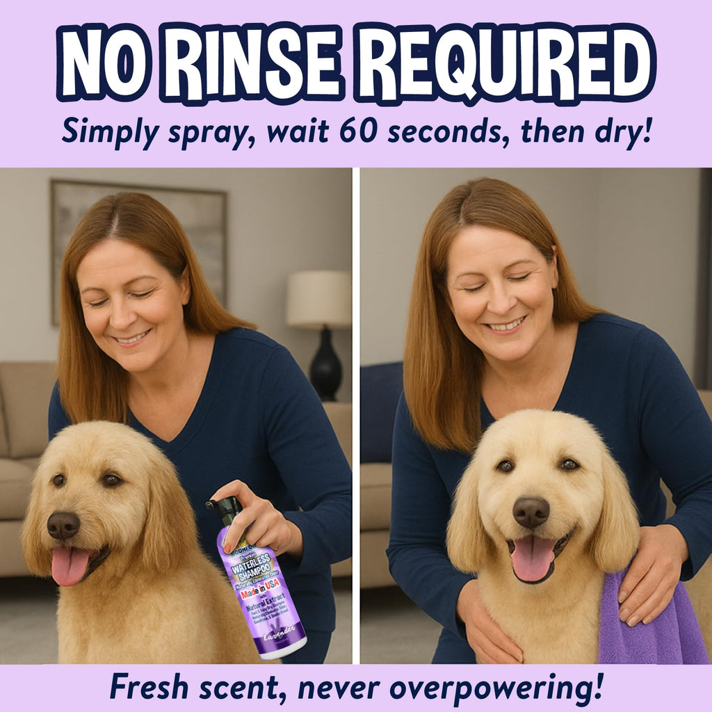 Waterless No Rinse Dry Shampoo for Dogs & Cats 17 Fl Oz H6074
