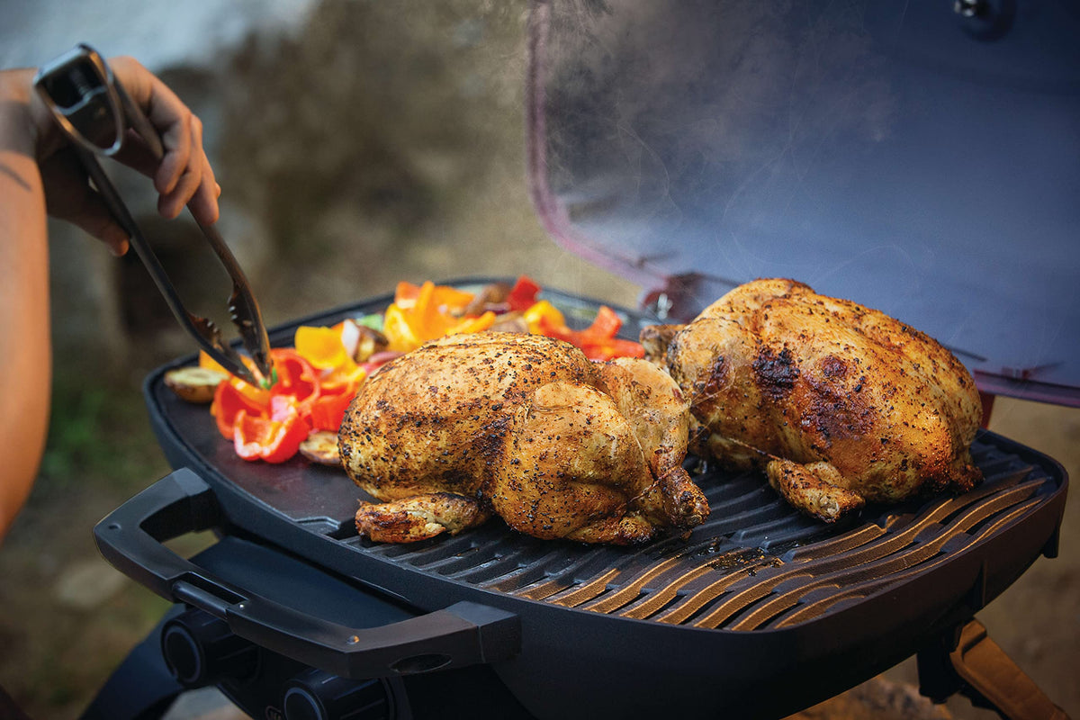 Portable Propane Grill with Griddle Insert S3791