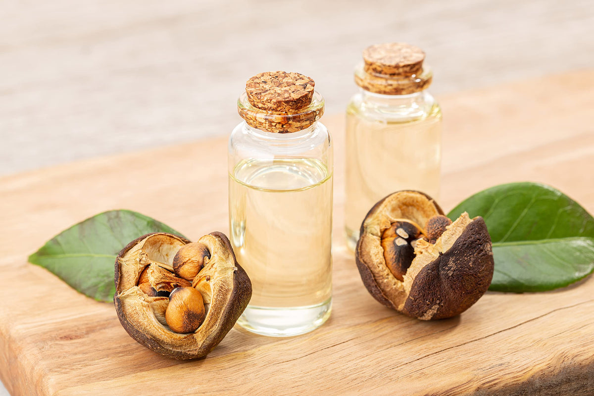 Japanese Camellia Seed Oil 1 oz Cold Pressed Unrefined X896558