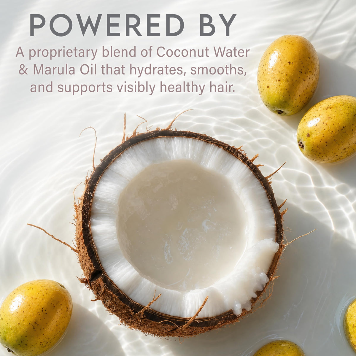 Coconut Water Curly Hair Clarifying Shampoo and Conditioner W683