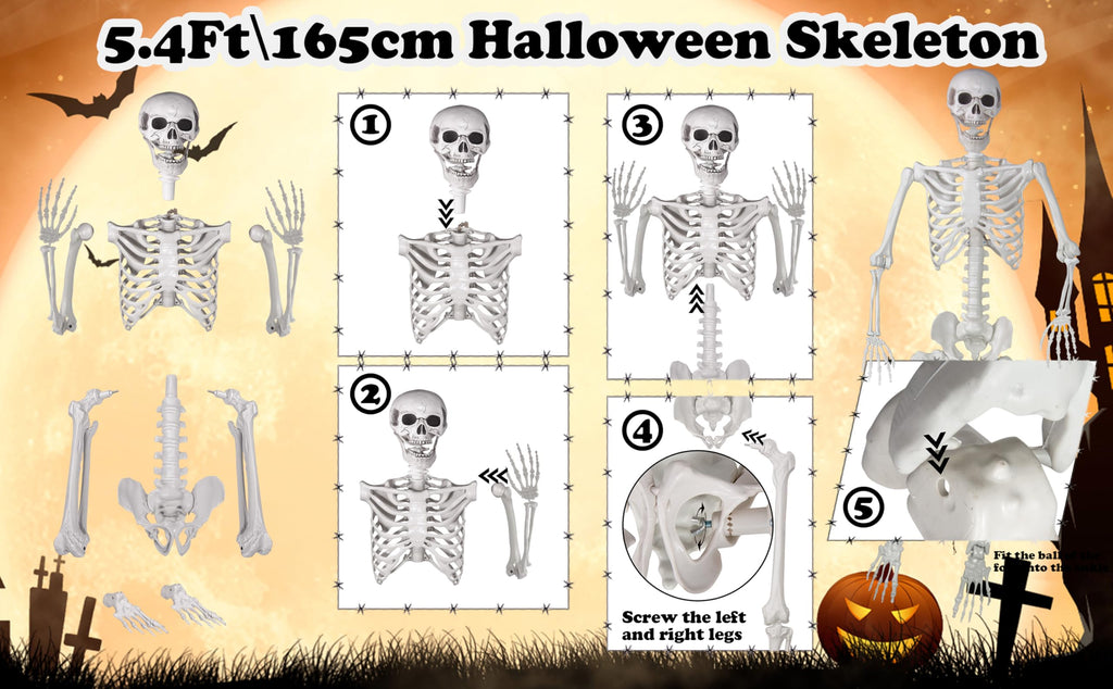 Life Size Skeleton with Posable Joints M62202