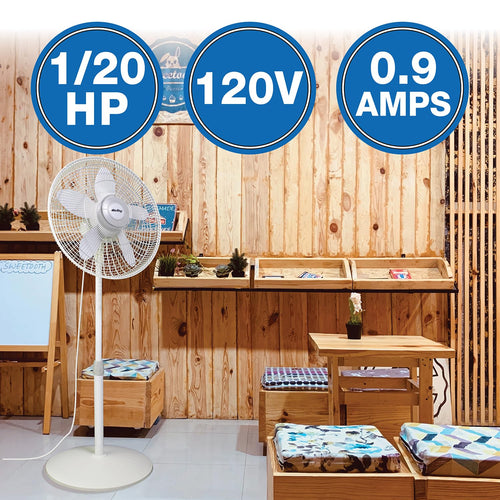 18-Inch 3-Speed Oscillating Pedestal Fan P551