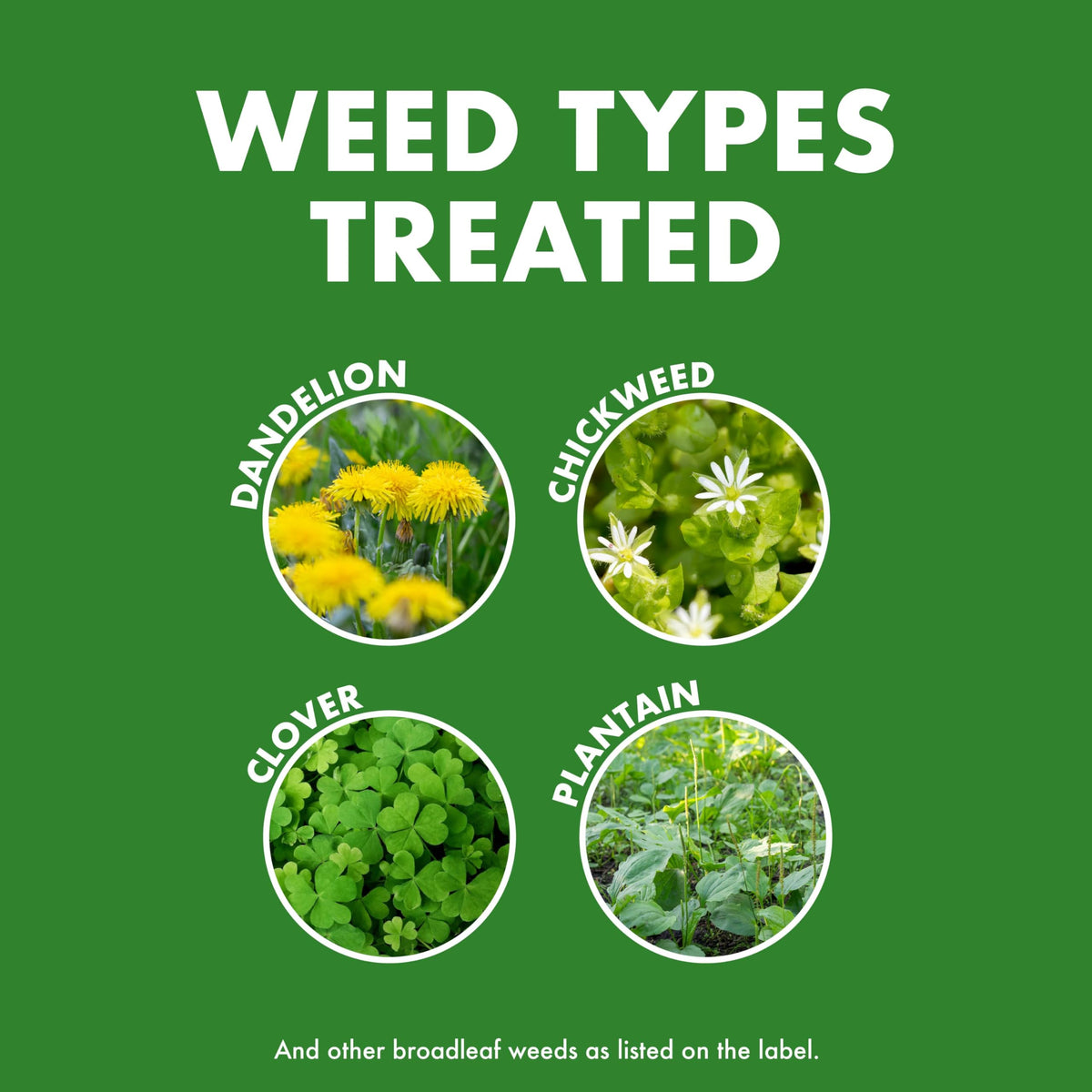 Weed & Feed 32 Oz 3 Pack E36552