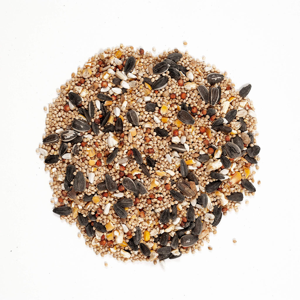40 lb Fruit and Nut Wild Bird Seed Mix A86970