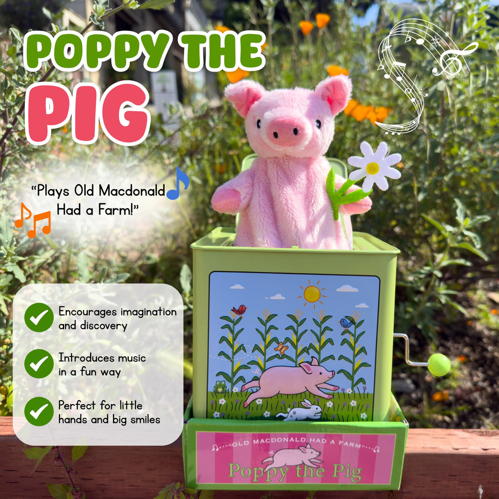 Pig Jack in the Box C4591