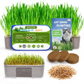 3 Pack Cat Grass Seeds Growing Kit F277421